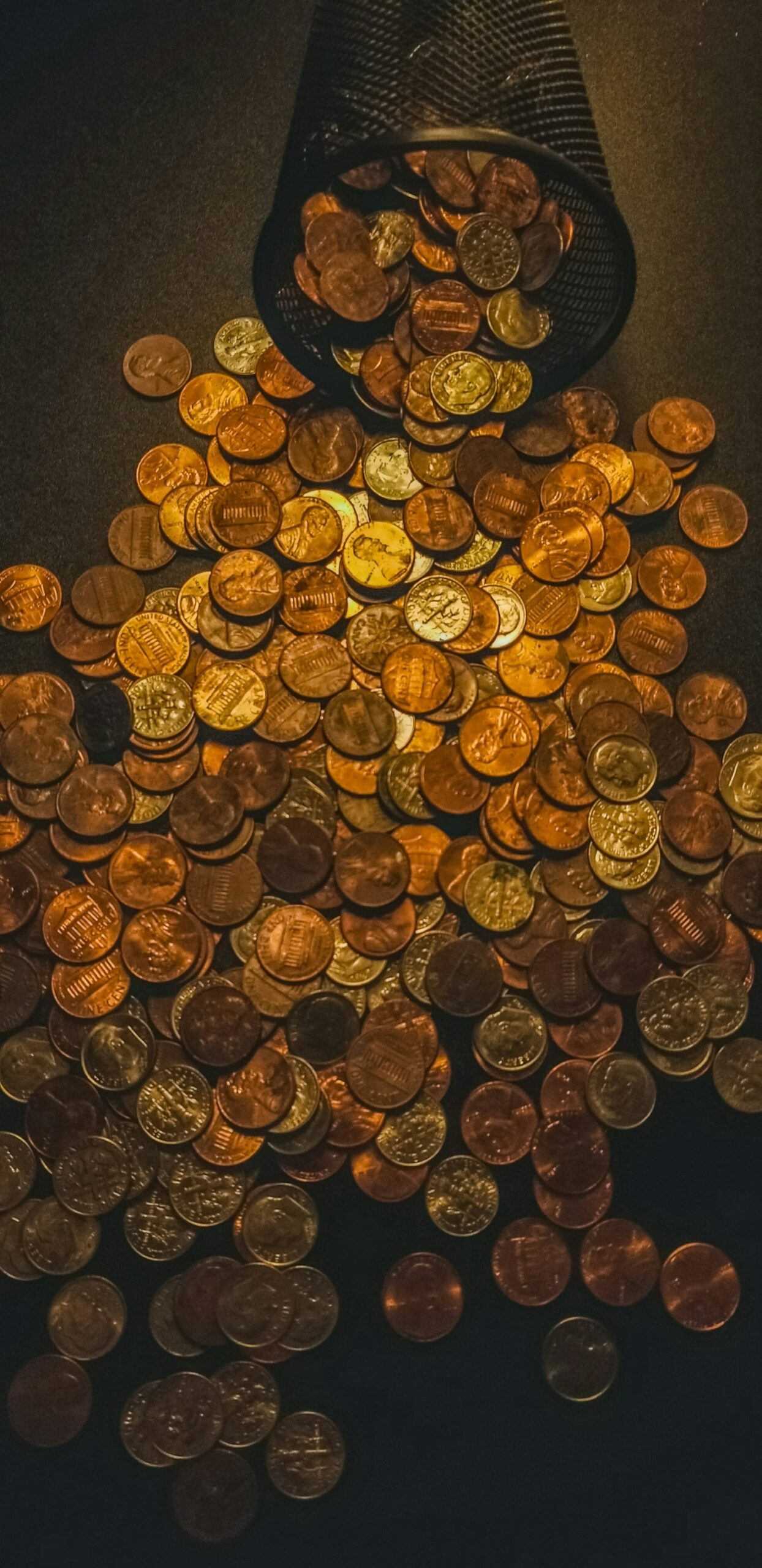 Top 10 Rare Finds for Collectors in 2023